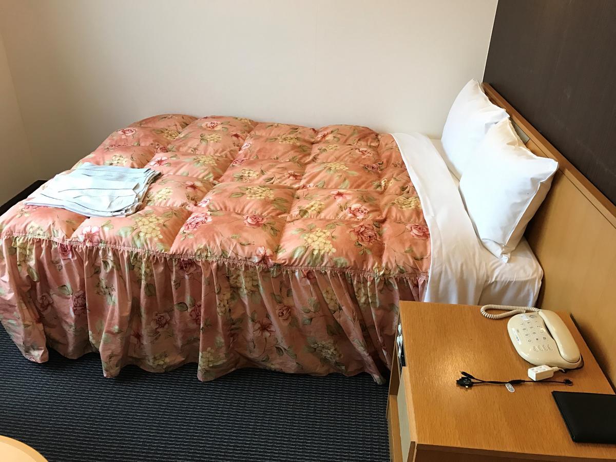 Shin Sayama Hotel Exterior foto